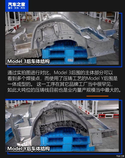 这里与众不同 浅析特斯拉上海超级工厂与上海科技企业的共生生态